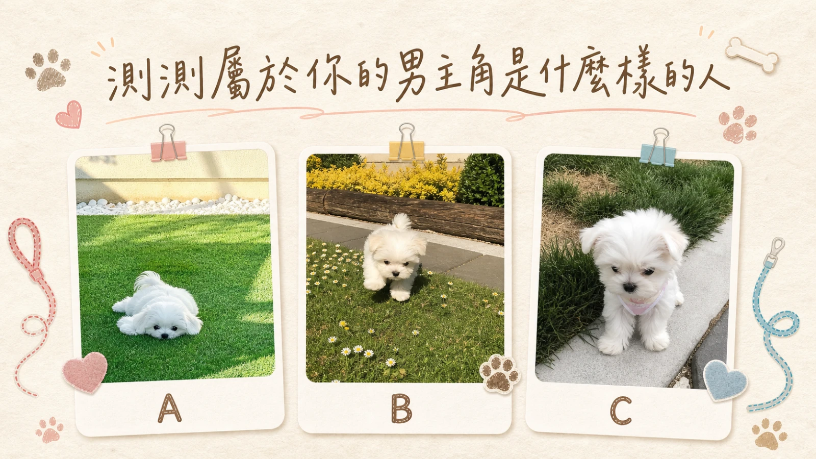 屬於你的男主角是什麼樣的人？直覺選擇測出你的戀愛守護者
