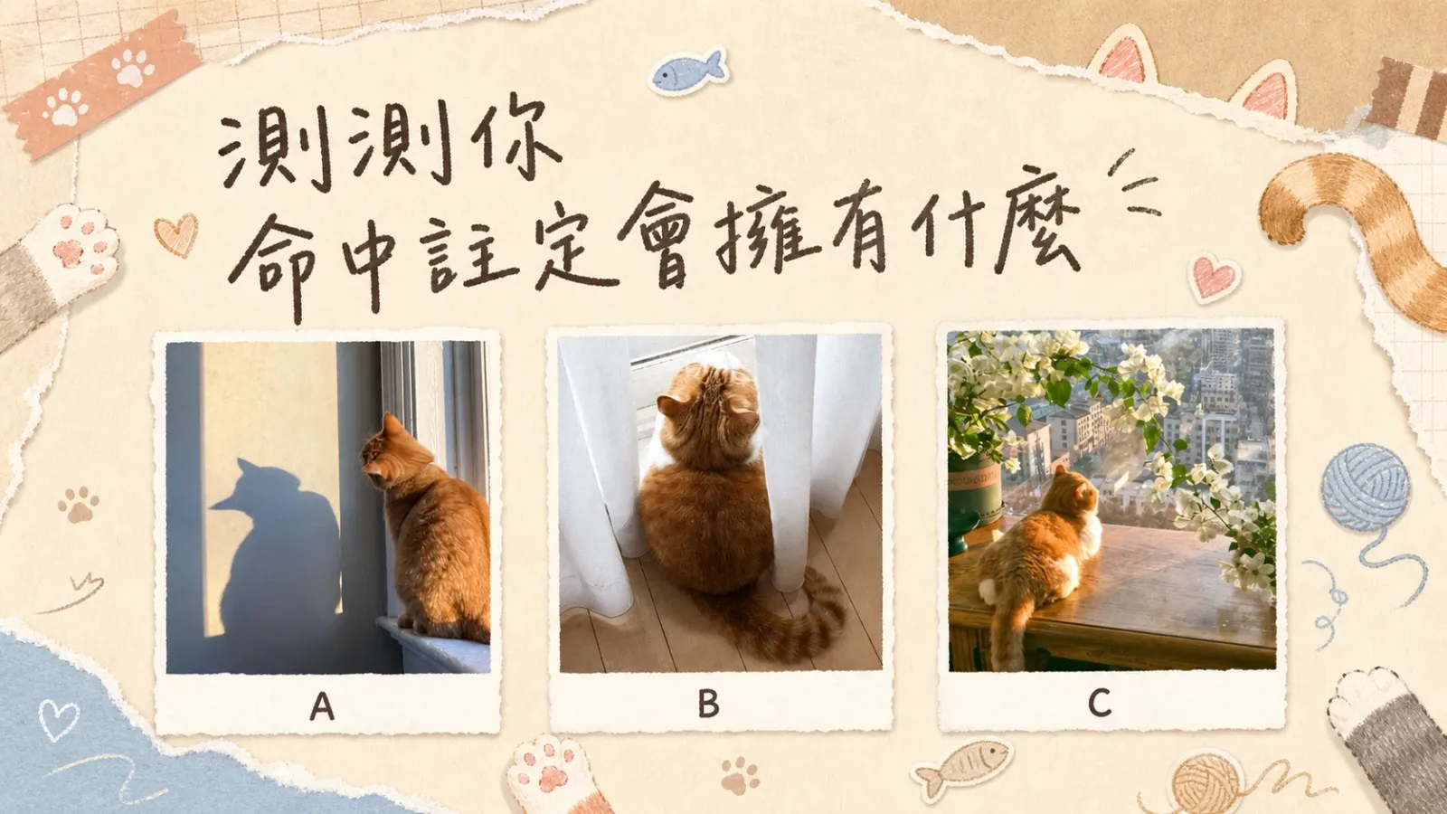 命中註定你會擁有什麼？測出未來慢慢靠近你的幸福