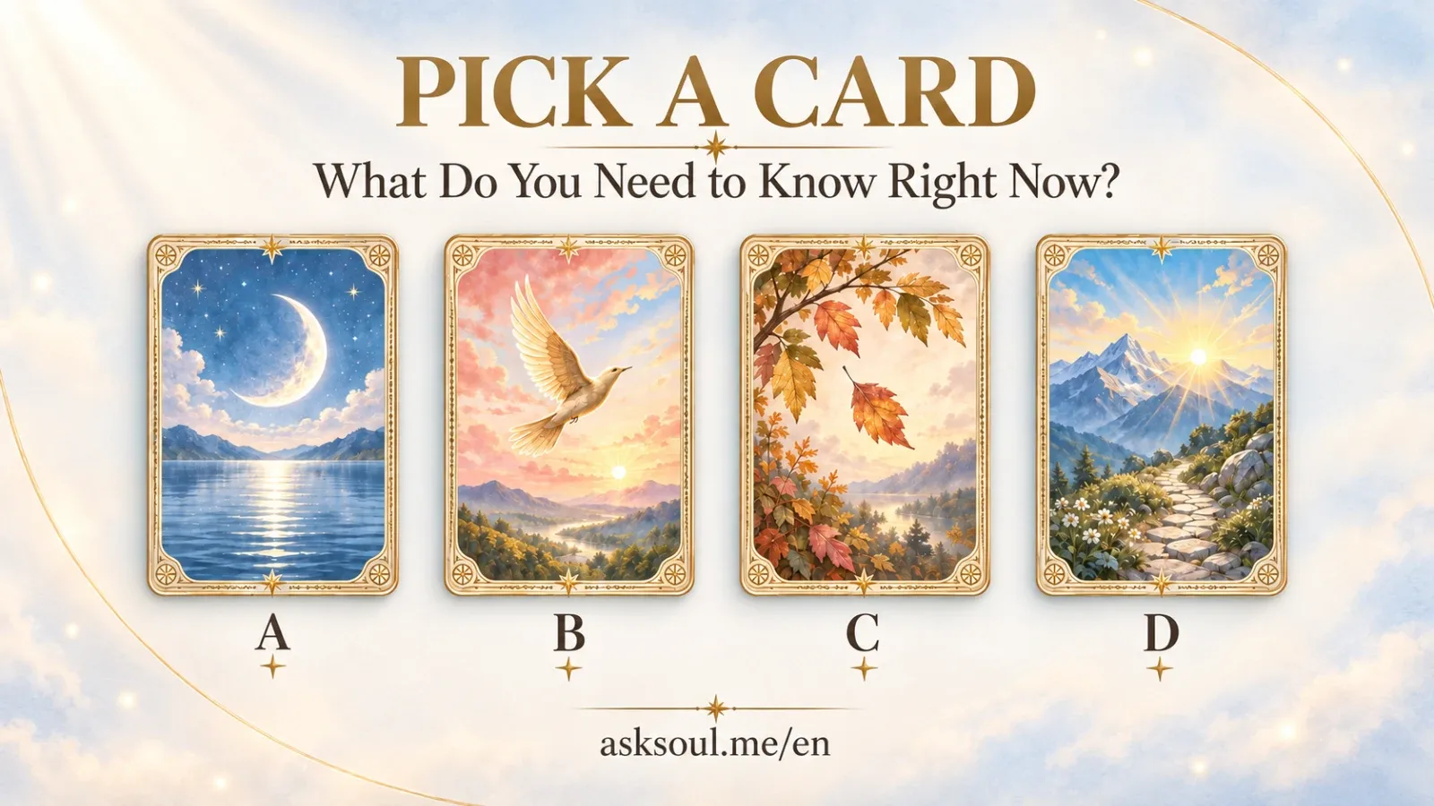 Which card pulled you in first?