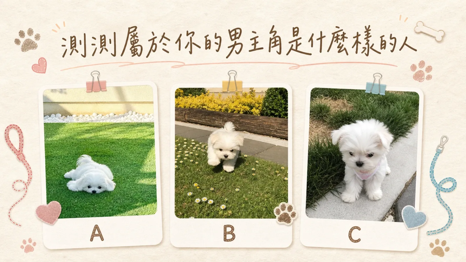 屬於你的男主角是什麼樣的人？直覺選擇測出你的戀愛守護者